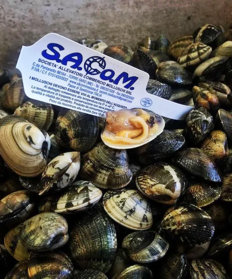 vongole-messina-sacom-(2)